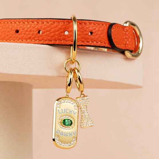 Pet It On Amulet Charm Set - Lucky Pawky + Dog Bone